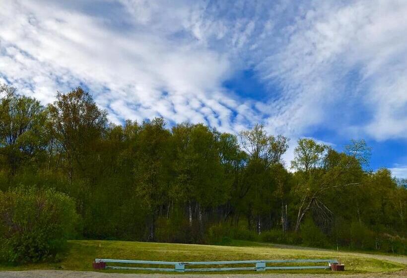 山景套房, Alaska Halcyon Heights Inn