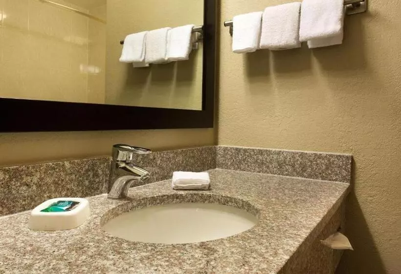 スイート, Drury Inn & Suites Cincinnati Sharonville