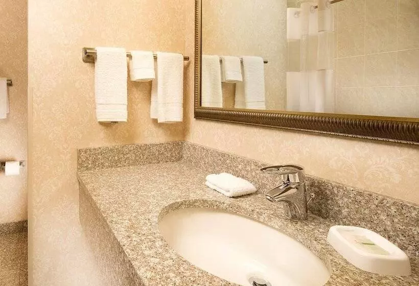 デラックスルーム, Drury Inn & Suites Cincinnati Sharonville
