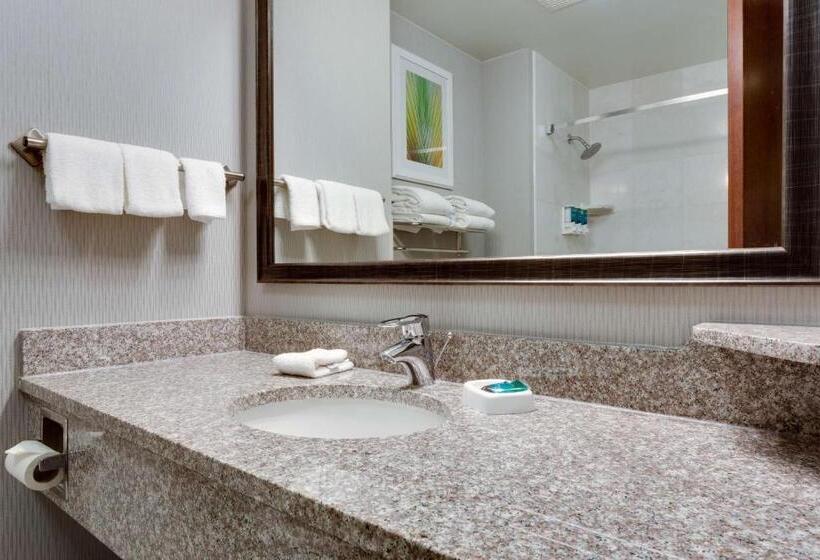 سوئیت با تخت بزرگ, Drury Inn & Suites St. Louis/o Fallon, Il