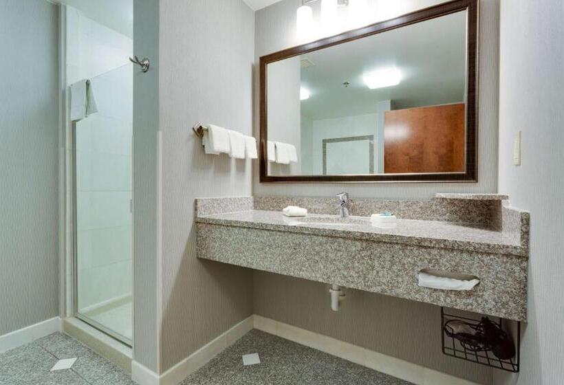 اتاق لوکس با تخت بزرگ, Drury Inn & Suites St. Louis/o Fallon, Il