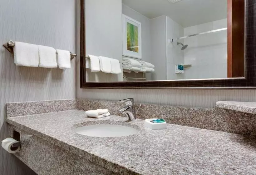 スーペリアースイート, Drury Inn & Suites St. Louis/o Fallon, Il