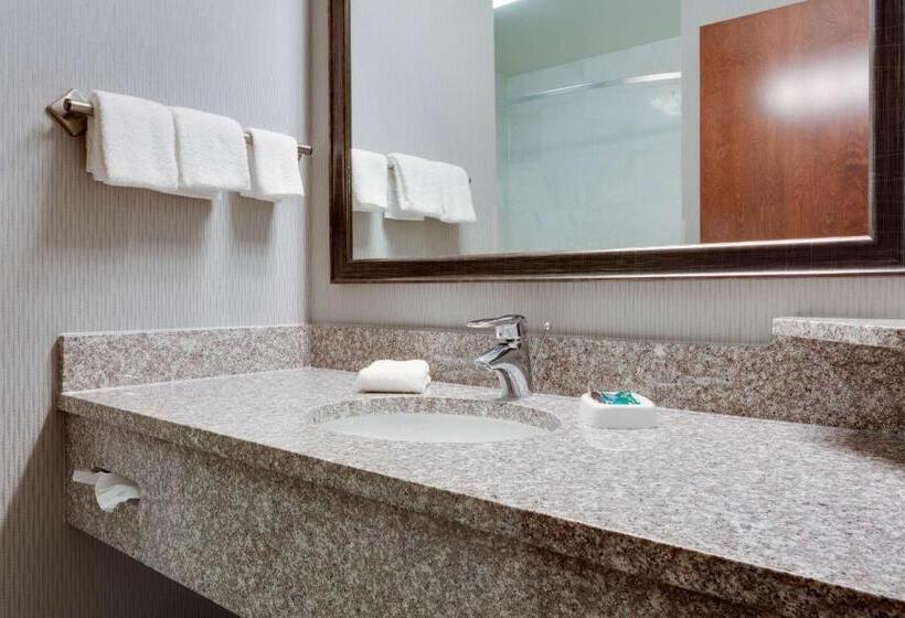 Номер Superior Кровать Кинг, Drury Inn & Suites St. Louis/o Fallon, Il