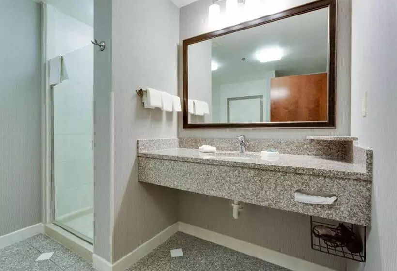 キングサイズベッドのスーペリアルーム, Drury Inn & Suites St. Louis/o Fallon, Il