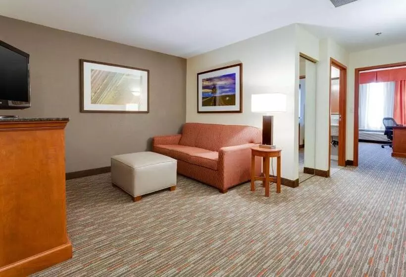 キングサイズベッドのスタンダードルーム, Drury Inn & Suites St. Louis/o Fallon, Il