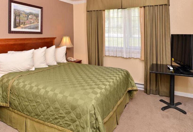 스위트 킹사이즈 침대, Fremont Inn