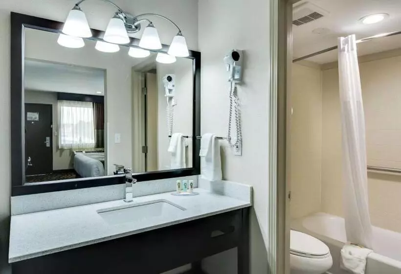 اتاق استاندارد با تخت بزرگ, Quality Inn & Suites Athens University Area