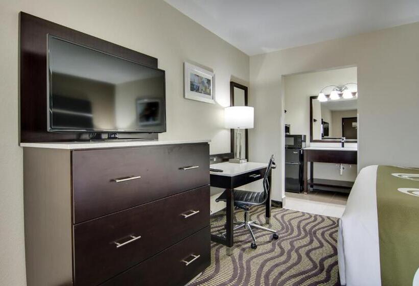 Номер Стандарт 2 Двуспальные Кровати, Quality Inn & Suites Athens University Area