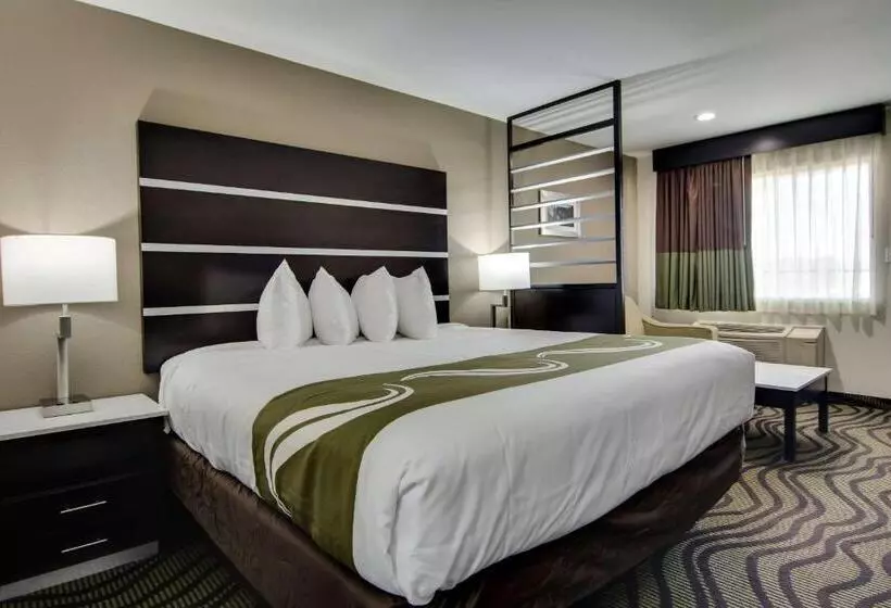 سوئیت با تخت بزرگ, Quality Inn & Suites Athens University Area