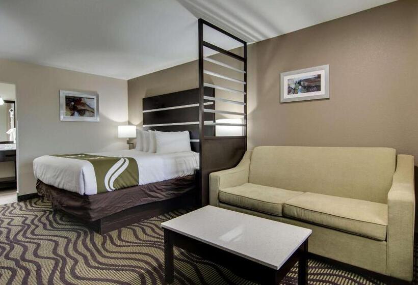 Люкс Кровать Кинг, Quality Inn & Suites Athens University Area