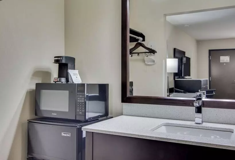 اتاق استاندارد با 2 تخت دوبل, Quality Inn & Suites Athens University Area