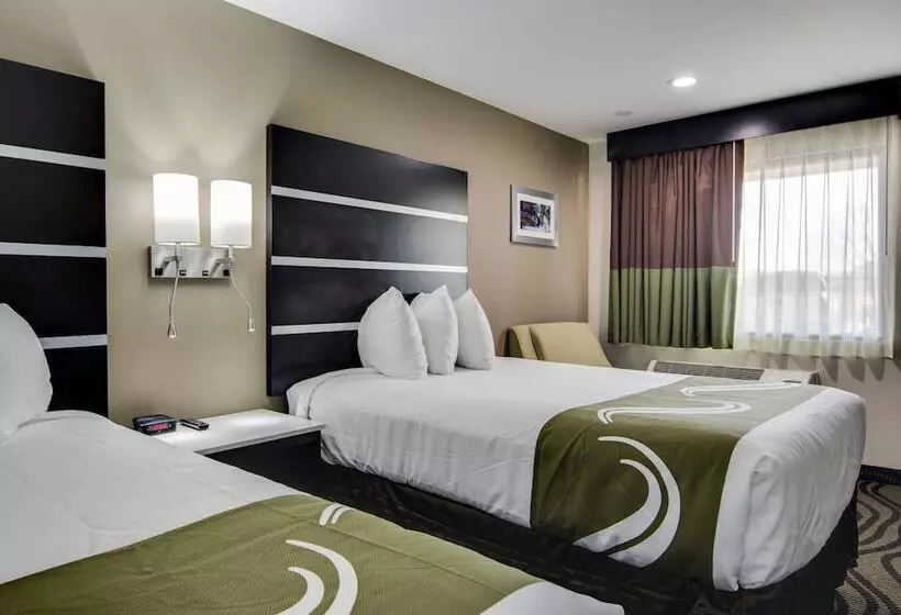 اتاق استاندارد با 2 تخت دوبل, Quality Inn & Suites Athens University Area