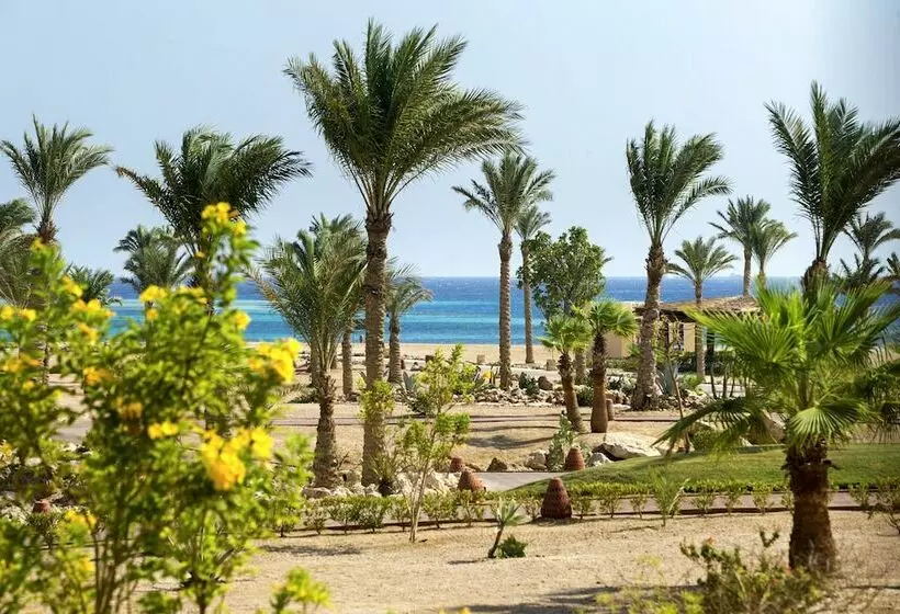 اتاق اکونومی, Robinson Soma Bay