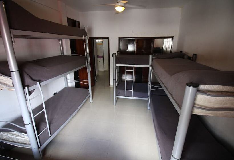 تختخواب در اتاق مشترک, Link Cordoba Hostel