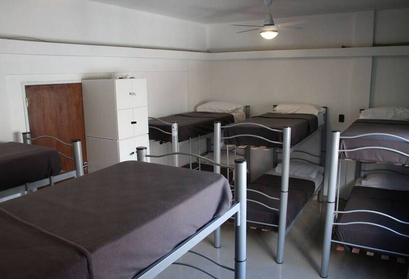 تختخواب در اتاق مشترک, Link Cordoba Hostel