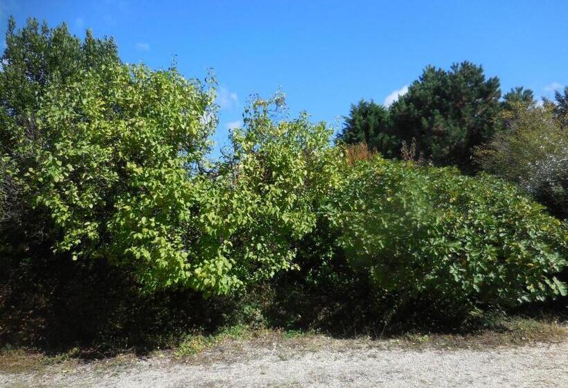 Номер Стандарт, La Madriguera Accommodation