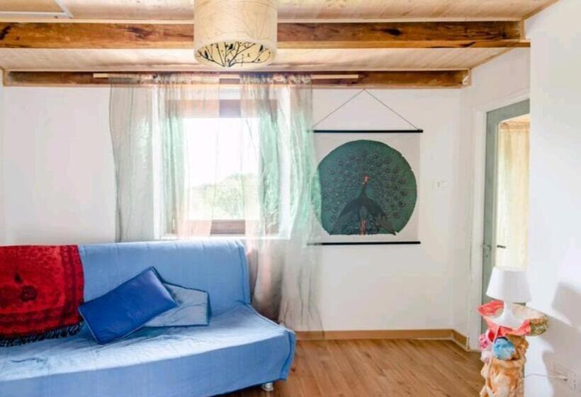 스탠다드 룸, Amrita Rosa