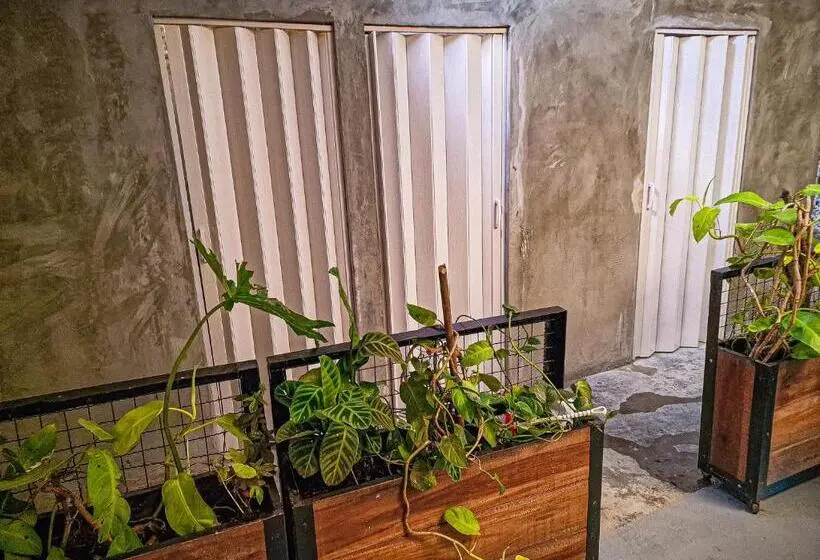 اتاق استاندارد, Urban Hostal Bar