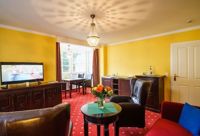 带1个卧室的公寓, Aurelia Hotel St.hubertus