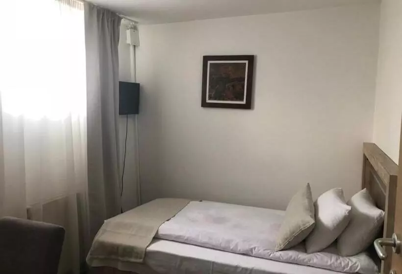 اتاق استاندارد یک نفره, Gros Hotel Leskovac
