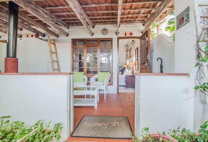 Номер Стандарт, Honeypot Guest House