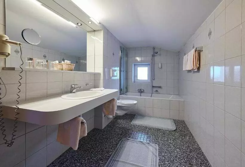スイート（家族用）, Appartement Roggal
