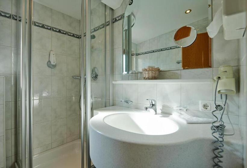 수피리어 싱글 룸, Appartement Roggal