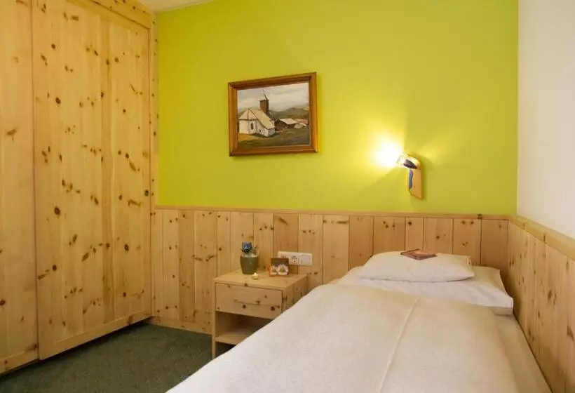 スーペリアシングルルーム, Appartement Roggal