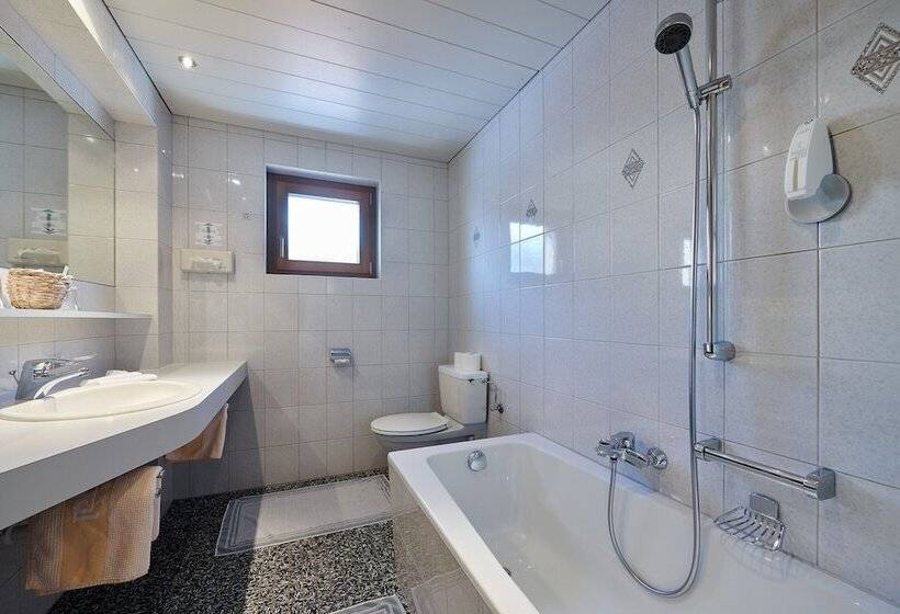 수피리어 싱글 룸, Appartement Roggal