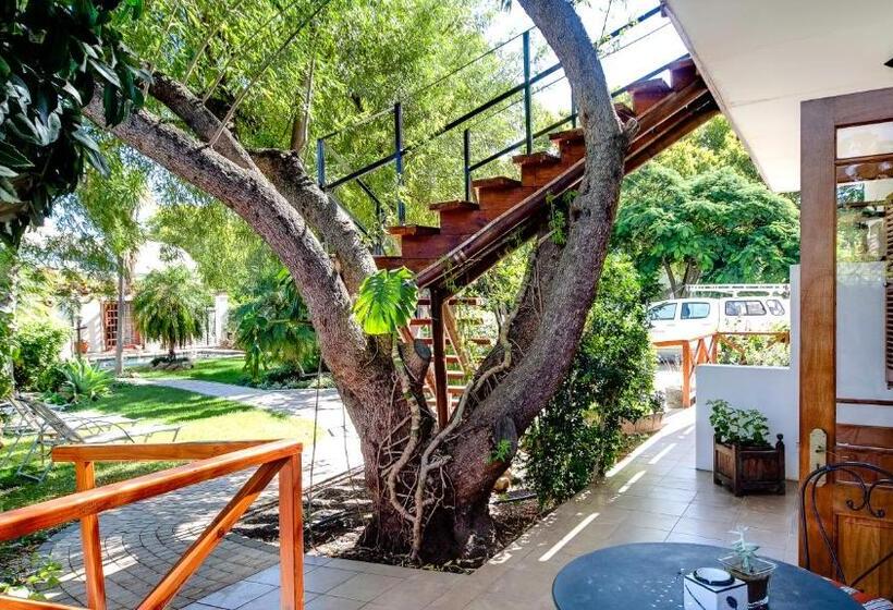 غرفة قياسية, Gubas De Hoek Meet Eat Sleep