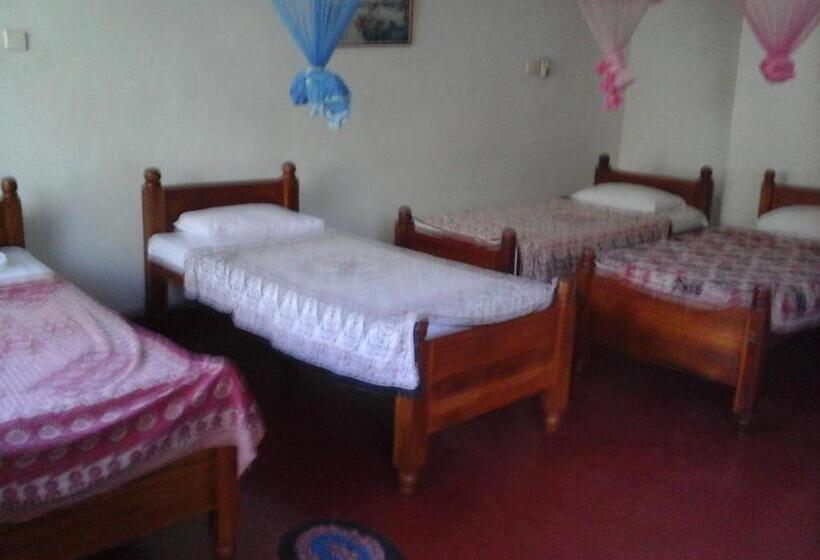 غرفة عائلية, Majestic Tourist