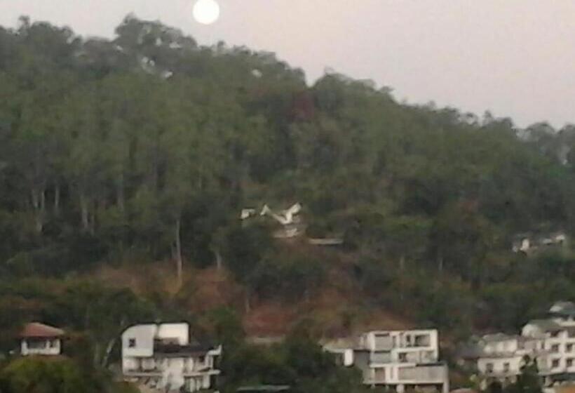 غرفة كومفورت ثلاثية, Majestic Tourist