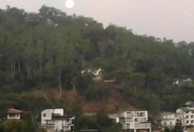 コンフォートトリプルルーム, Majestic Tourist