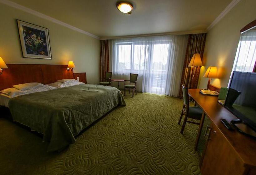 带特大床的高级间, Silver