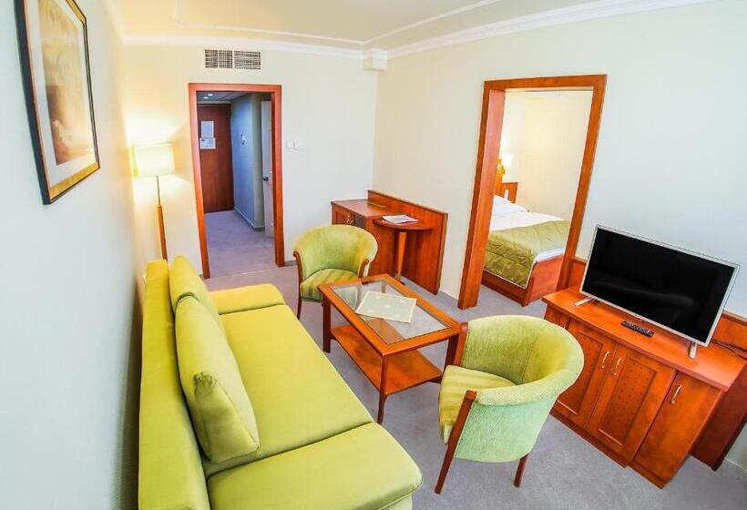 带1个卧室的带阳台的公寓, Silver