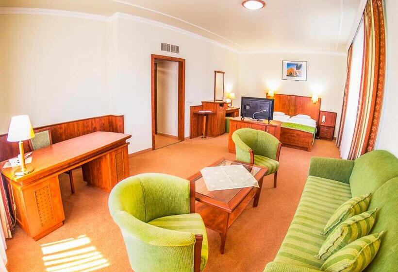 带1个卧室的豪华公寓, Silver