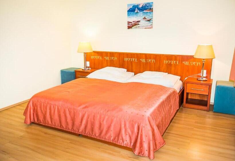 带1个卧室的舒适公寓, Silver