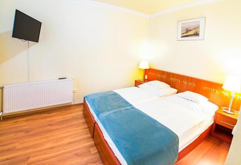 带1个卧室的舒适公寓, Silver