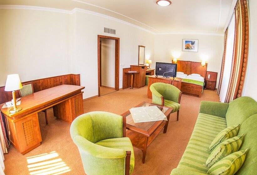 带1个卧室的豪华公寓, Silver