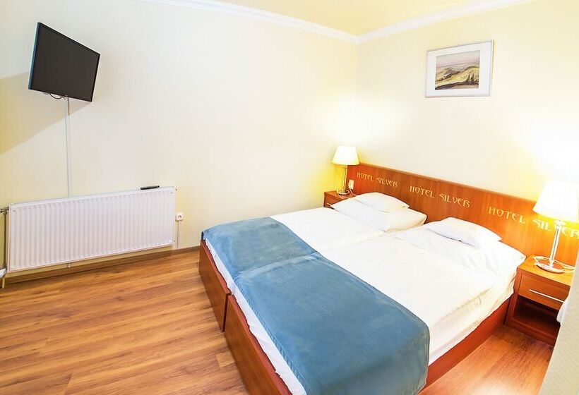 带1个卧室的舒适公寓, Silver