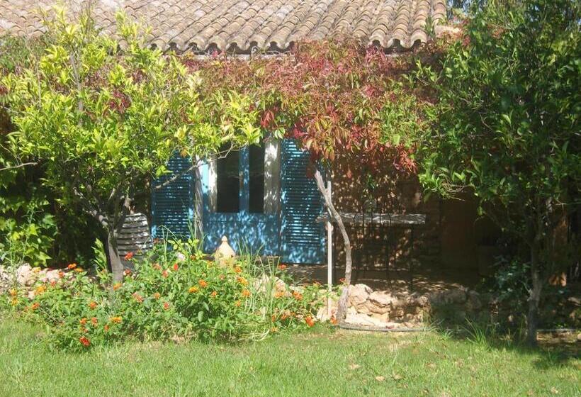 テラス付きスタンダードルーム, Son Vent