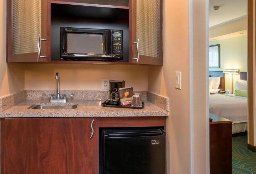 스위트 킹사이즈 침대, Springhill Suites Prince Frederick