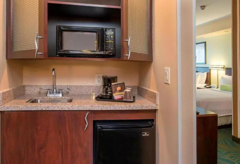 キングサイズベッドのスイートルーム, Springhill Suites Prince Frederick
