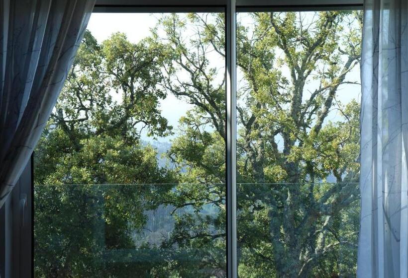 סטודיו סטנדרט עם מרפסת, Vilafoia