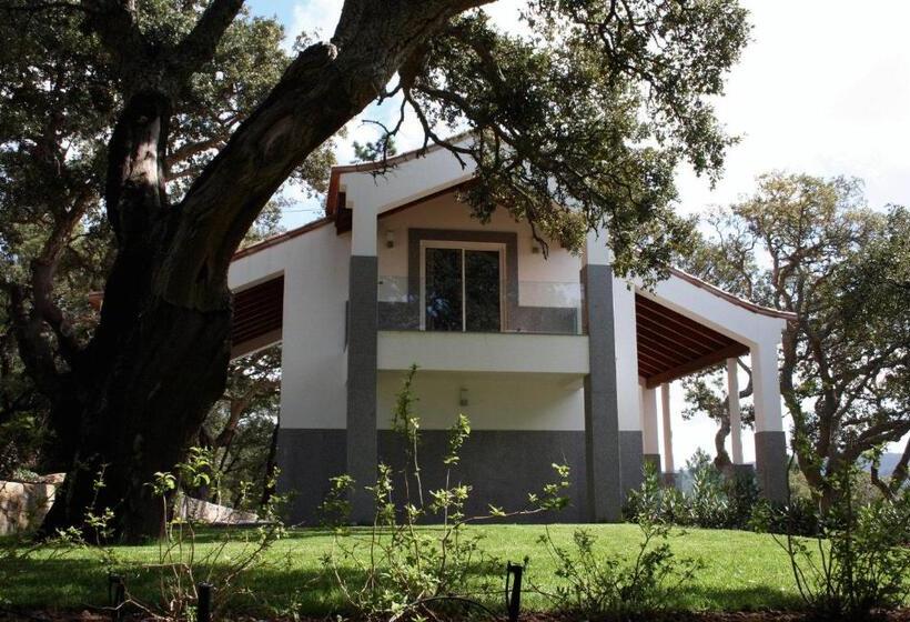 סטודיו סטנדרט עם מרפסת, Vilafoia