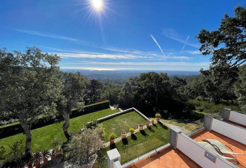 סוויטה עם מרפסת, Vilafoia