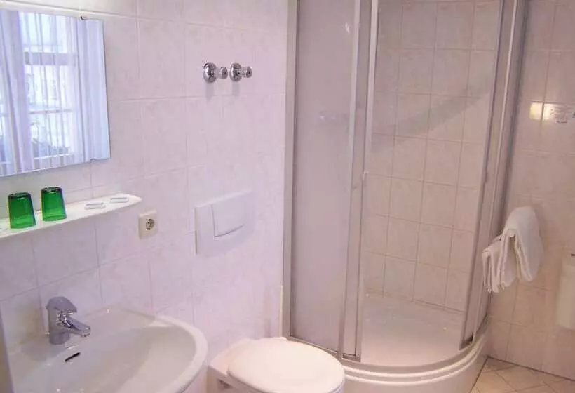 Standard Yhden Hengen Huone, Zum Goldenen Löwen