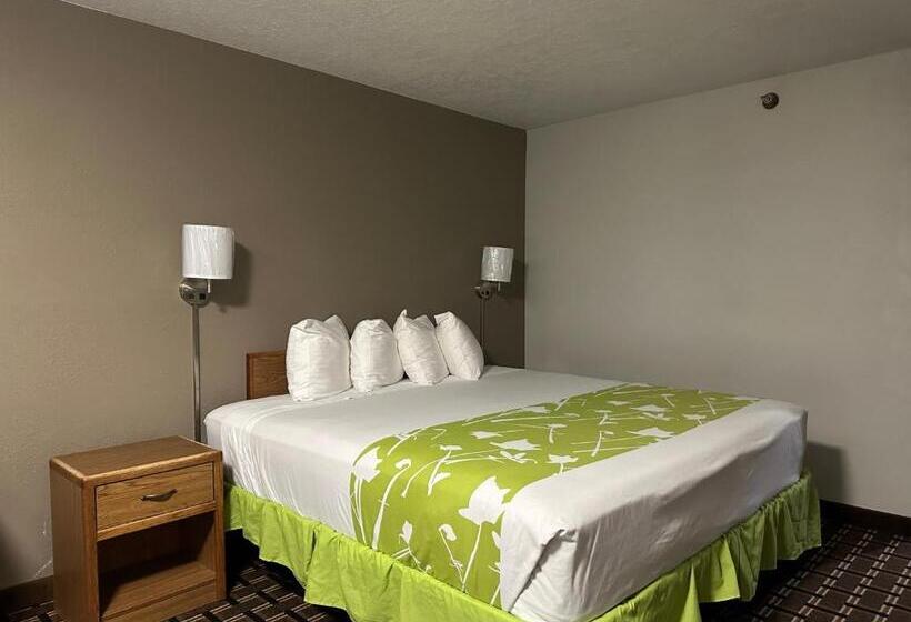 스탠다드 룸 킹사이즈 침대, Motel 6 North Sioux City, Sd I 29 North