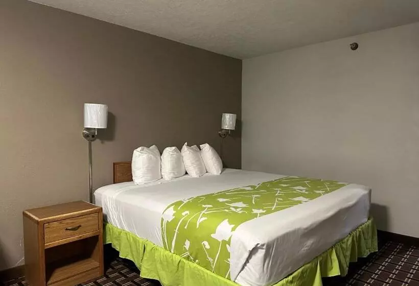 キングサイズベッドのスタンダードルーム, Motel 6 North Sioux City, Sd I 29 North