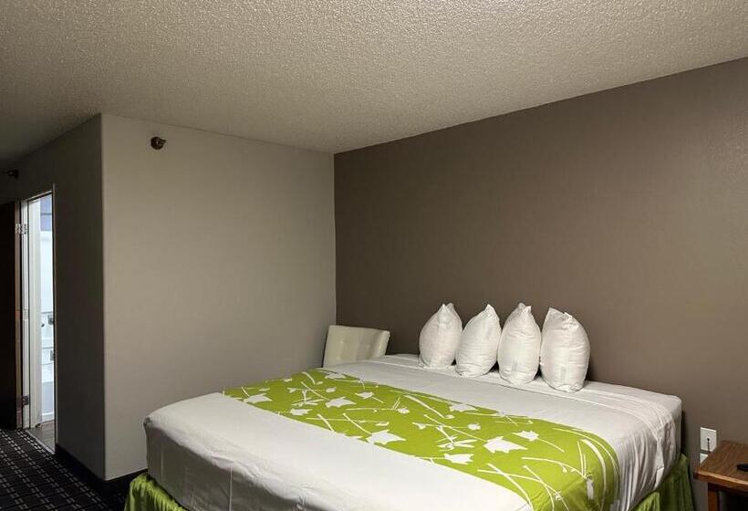 Стандартный Номер Кровать Кинг, Motel 6 North Sioux City, Sd I 29 North